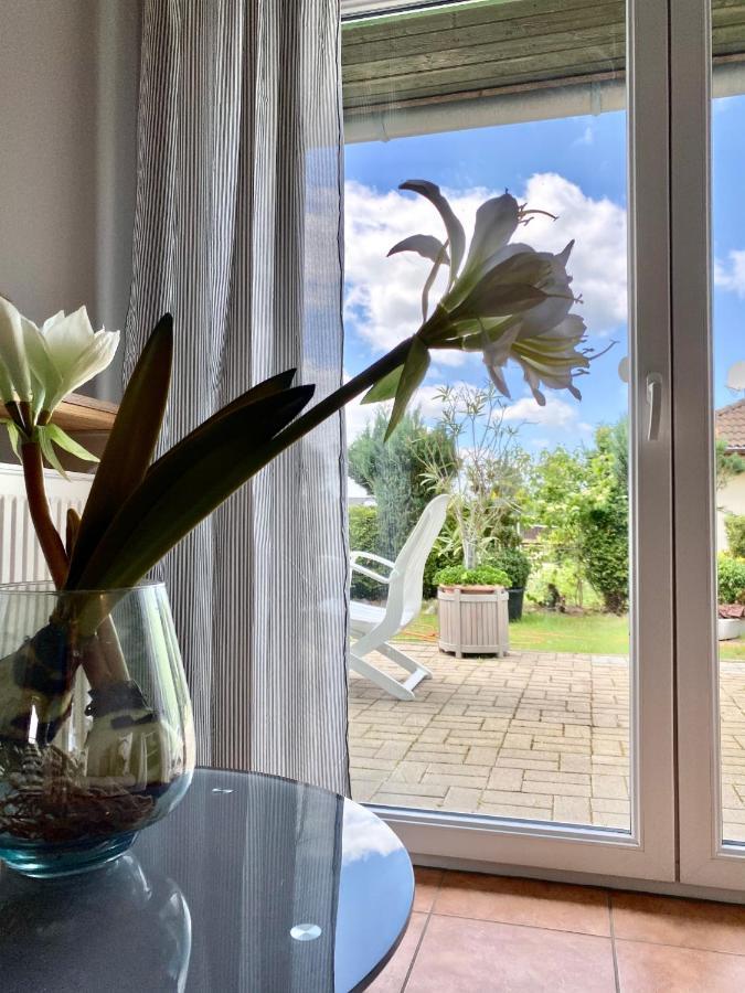 Apartmenthaus Luett Meer Ludorf 外观 照片