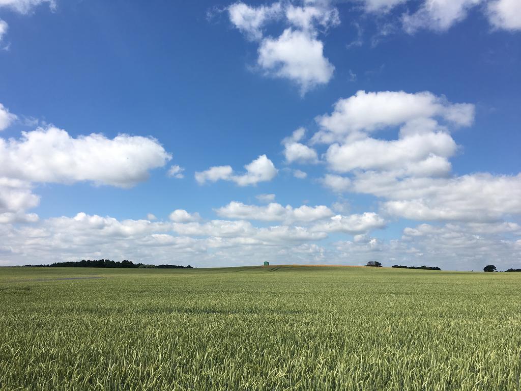 Apartmenthaus Luett Meer Ludorf 外观 照片
