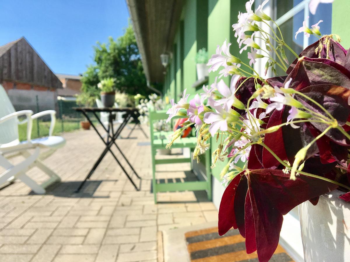 Apartmenthaus Luett Meer Ludorf 外观 照片